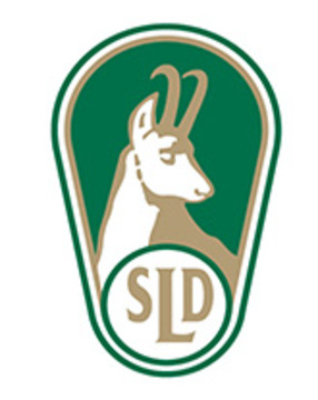 TRADICIONALNO STRELSKO TEKMOVANJE 2025 NA GLINASTE GOLOBE